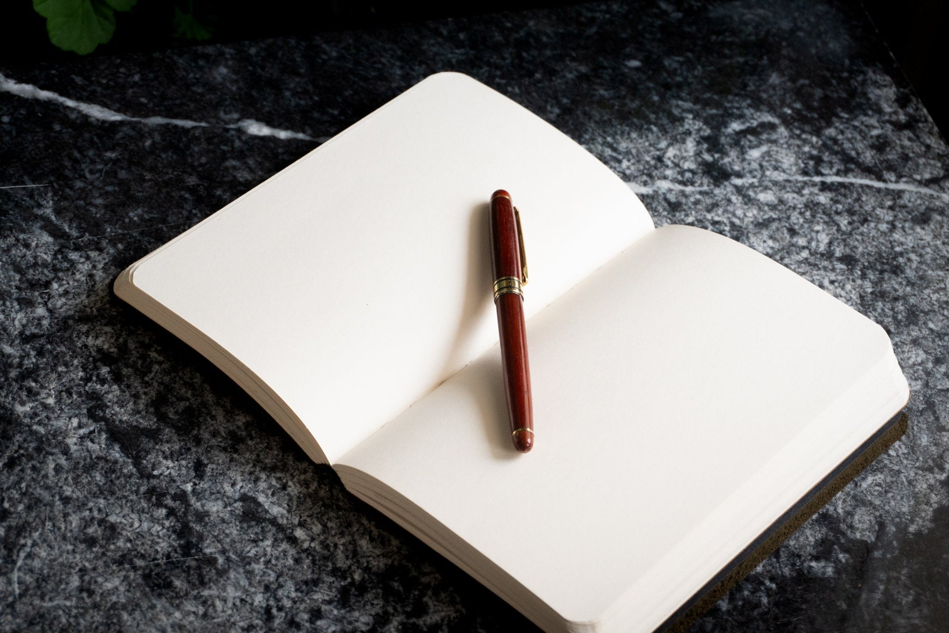 Personalized Full Grain Journal A5, 500 Pages Diary, Leather Blank Journal, Custom Page Notebook, Personalized Leather Journal A5, 500 Pages Full Grain Notebook, 365 Day Diary Journal, Gift for Writers